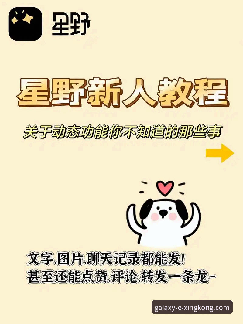 如何获取星空官网资讯最新版，确保你的App始终领先一步？